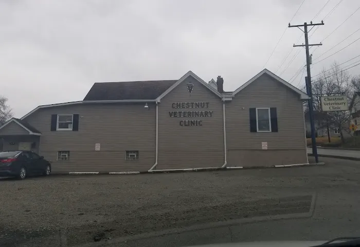 Chestnut Veterinary Clinic Picture 1
