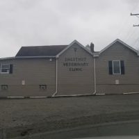 Chestnut Veterinary Clinic ico