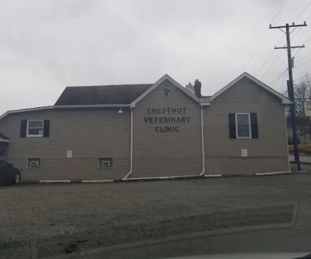 Chestnut Veterinary Clinic