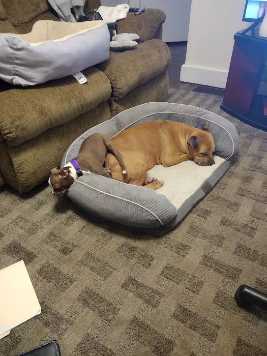 Chestnut Veterinary Clinic Picture 5