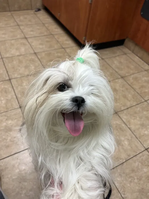 Banfield Pet Hospital Picture 3