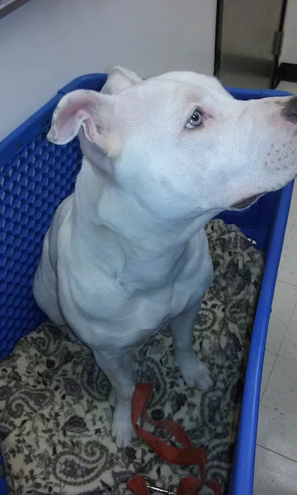 Banfield Pet Hospital Picture 7