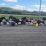 Performance Equine