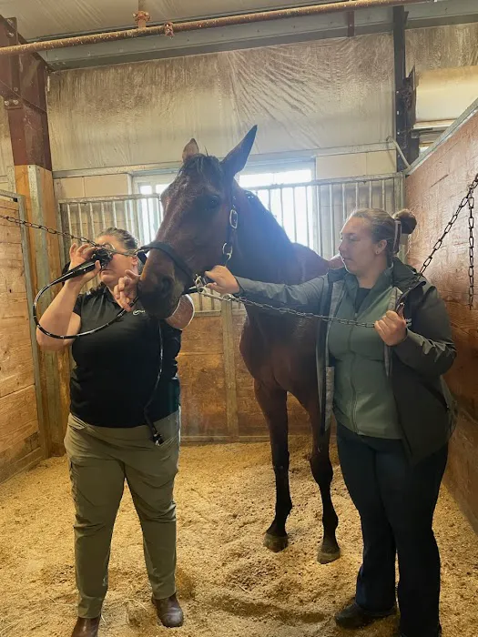 Performance Equine Picture 4