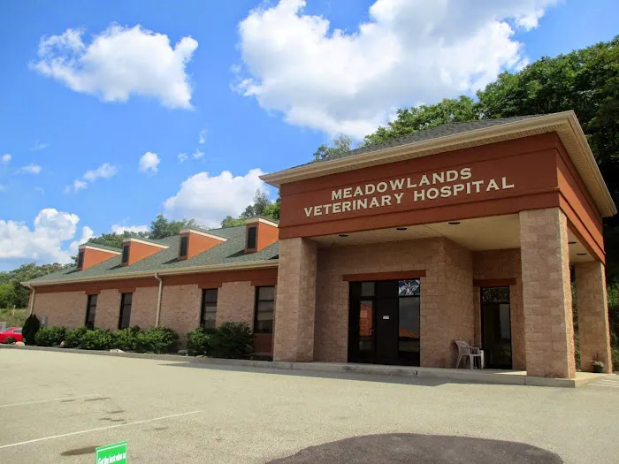 Meadowlands Veterinary Hospital Picture 1