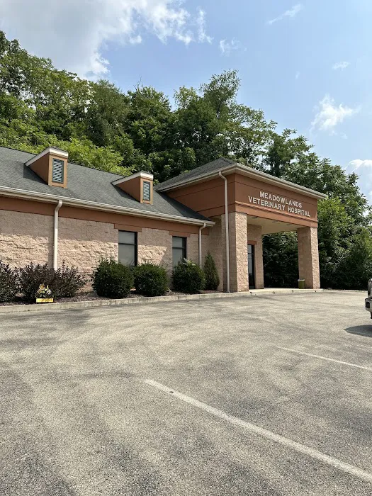 Meadowlands Veterinary Hospital Picture 4