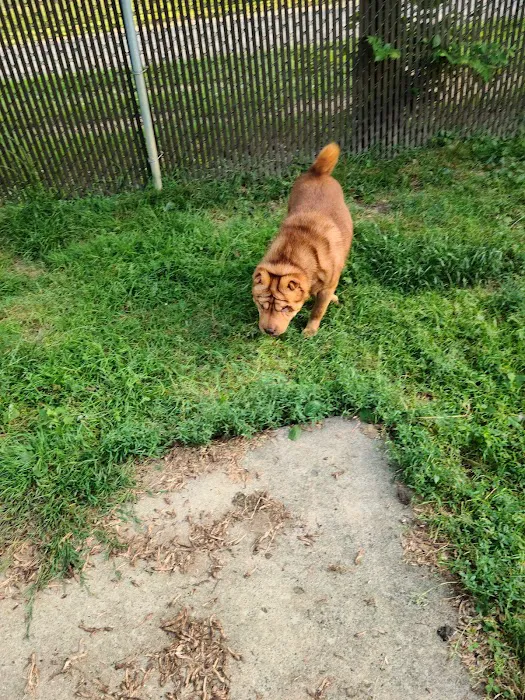 Meadowlands Veterinary Hospital Picture 10