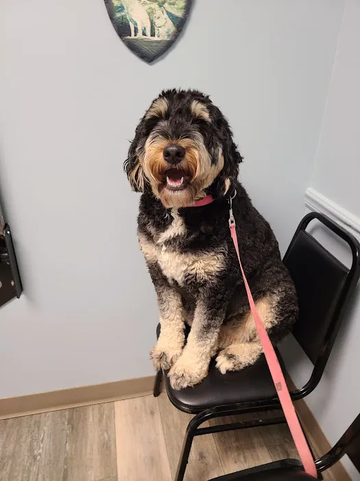 Meadowlands Veterinary Hospital Picture 9