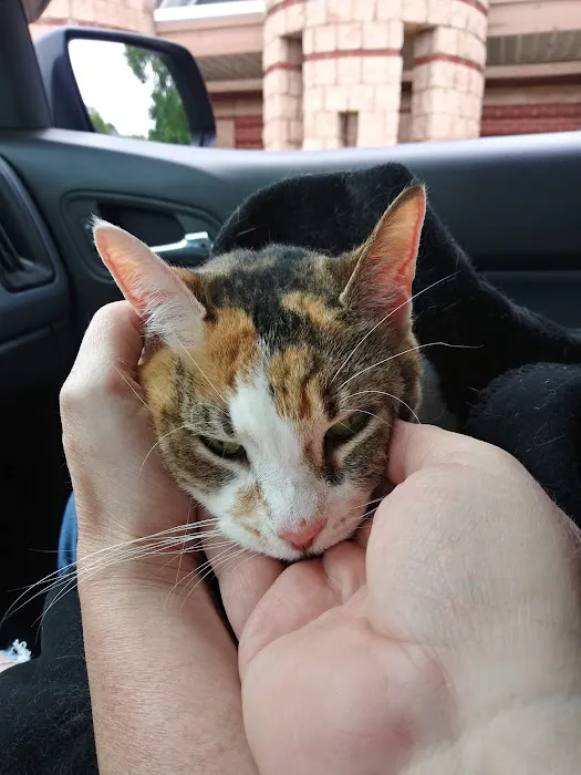 Bridgeville Animal Hospital Picture 10