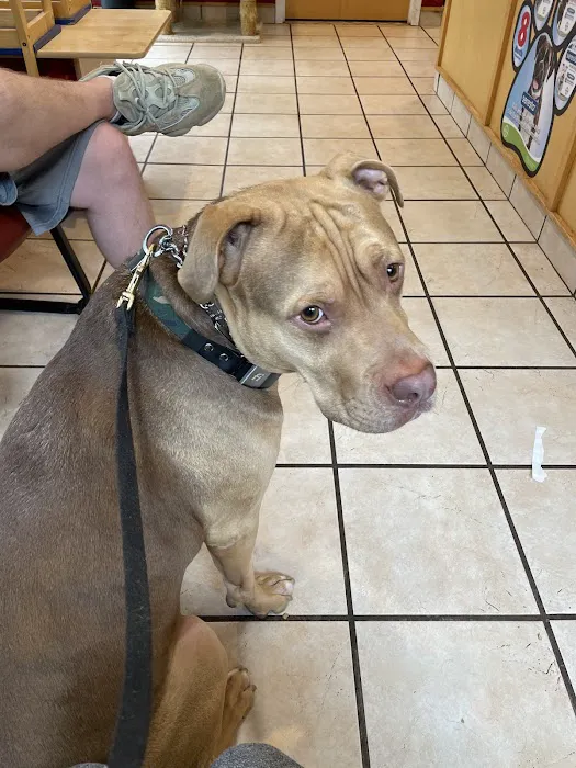 Manorville Pet Vet Picture 2
