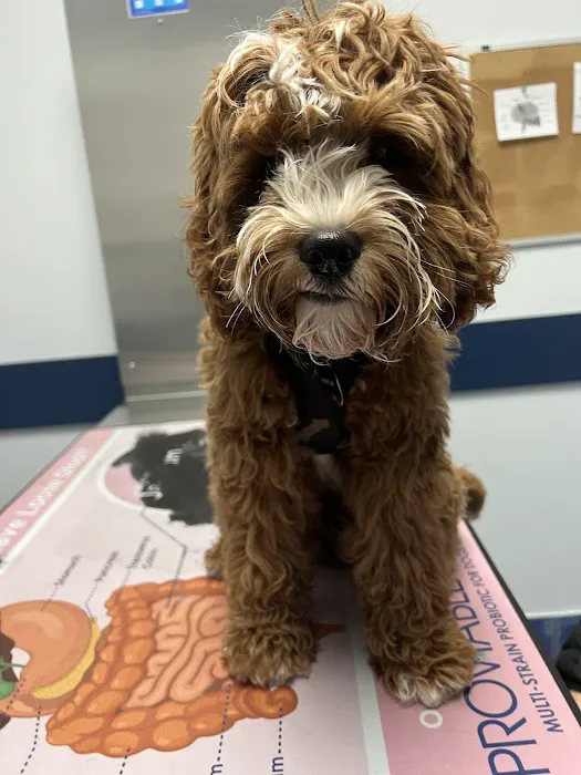 East End Veterinary Center Picture 4