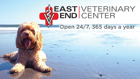 East End Veterinary Center Picture 7