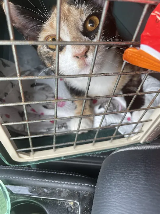 Vetco Total Care Animal Hospital Picture 2