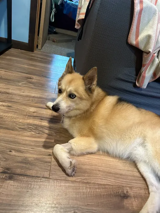 Vetco Total Care Animal Hospital Picture 7
