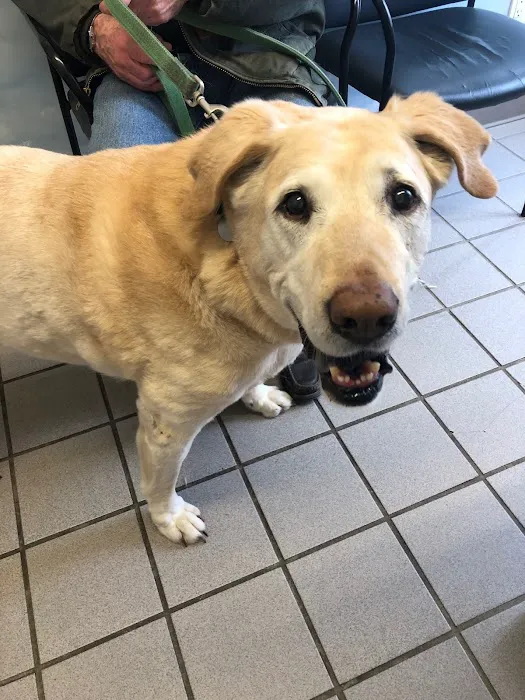 Peconic Bay Animal Hospital Picture 10