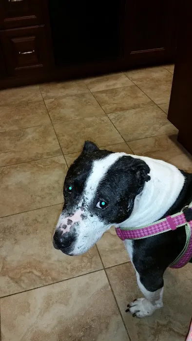 Center Moriches Veterinary Hospital Picture 6