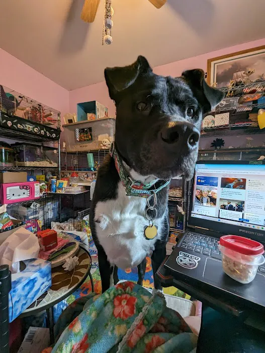 Center Moriches Veterinary Hospital Picture 7