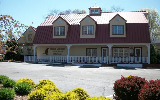 Center Moriches Veterinary Hospital Picture 10
