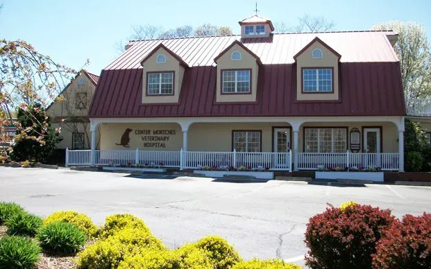Center Moriches Veterinary Hospital Picture 9