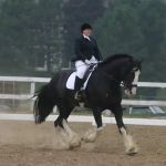 Maplewood Veterinary Associates