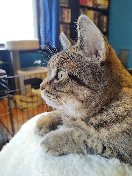 Flint Veterinary Care Center Picture 8