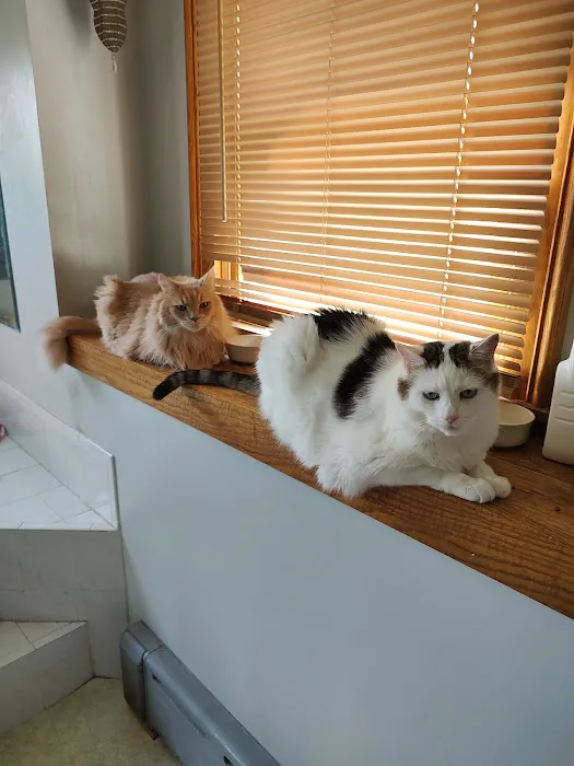 Flint Veterinary Care Center Picture 9