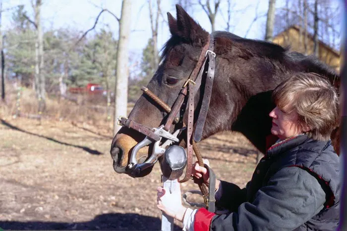 Royalton Equine Veterinary Services, PC Picture 5