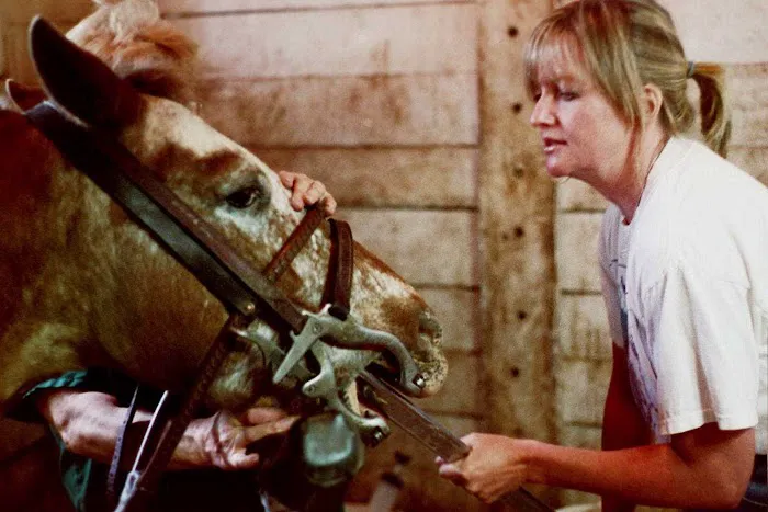 Royalton Equine Veterinary Services, PC Picture 6