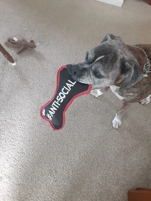 Randleigh Animal Hospital Picture 9