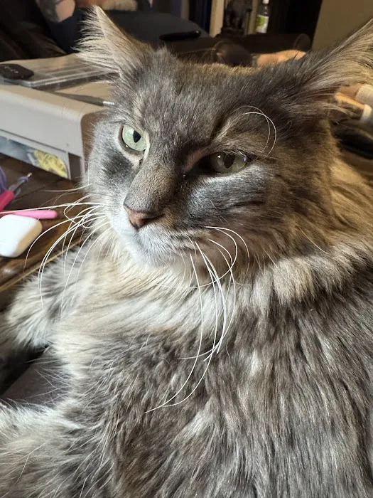 Wright's Corners Animal Care Center Picture 7