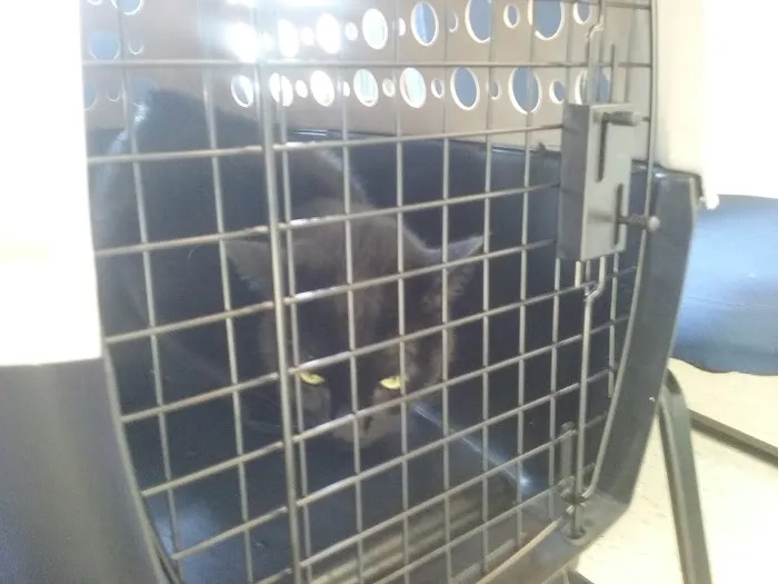 Wright's Corners Animal Care Center Picture 5
