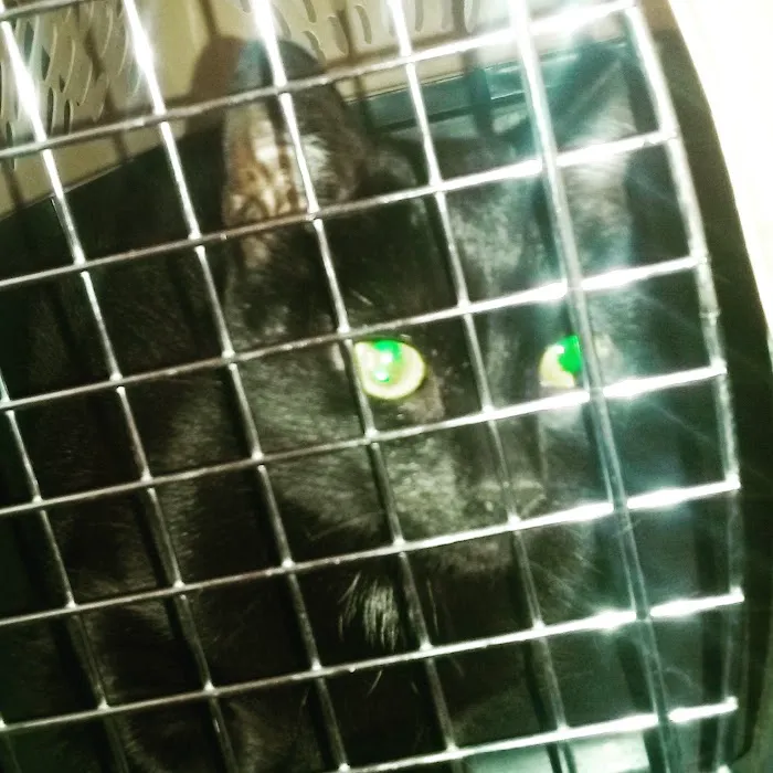 Wright's Corners Animal Care Center Picture 10