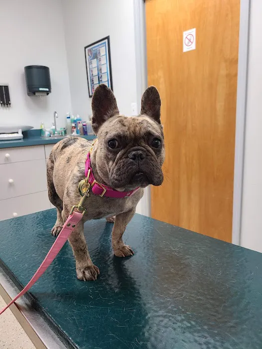 Wright's Corners Animal Care Center Picture 6