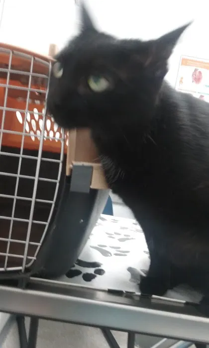 Wright's Corners Animal Care Center Picture 4
