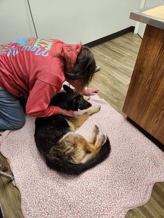 Lake Ave Veterinary Clinic Picture 7