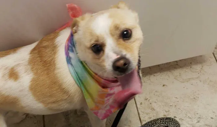 Donner Creek Veterinary Clinic Picture 6