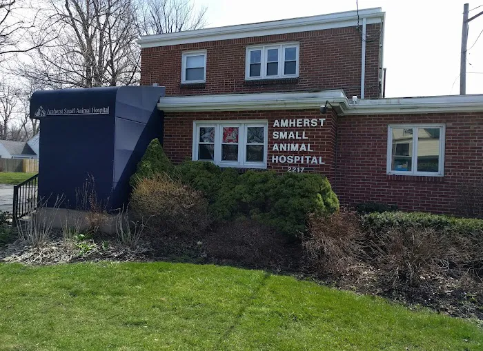 the Animal Pain Management Center Picture 2
