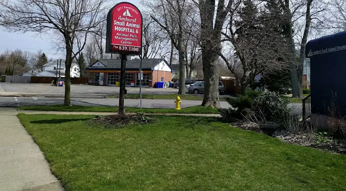 the Animal Pain Management Center Picture 1