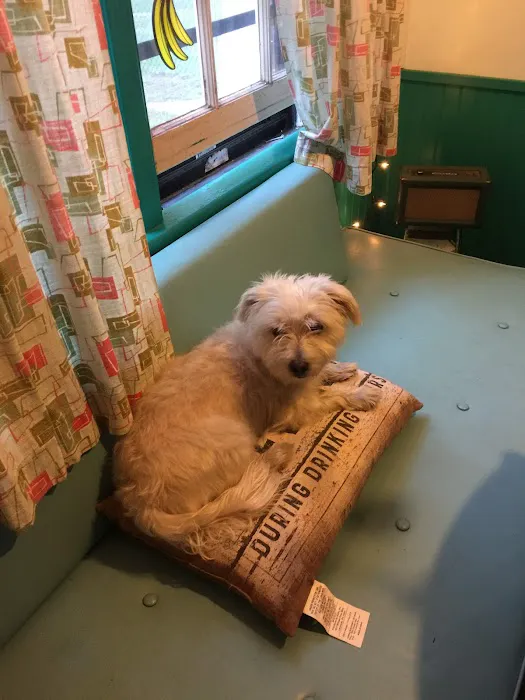 VCA Blue Cross Animal Hospital of Amherst Picture 7