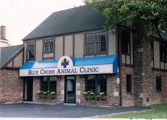 VCA Blue Cross Animal Hospital of Amherst Picture 2