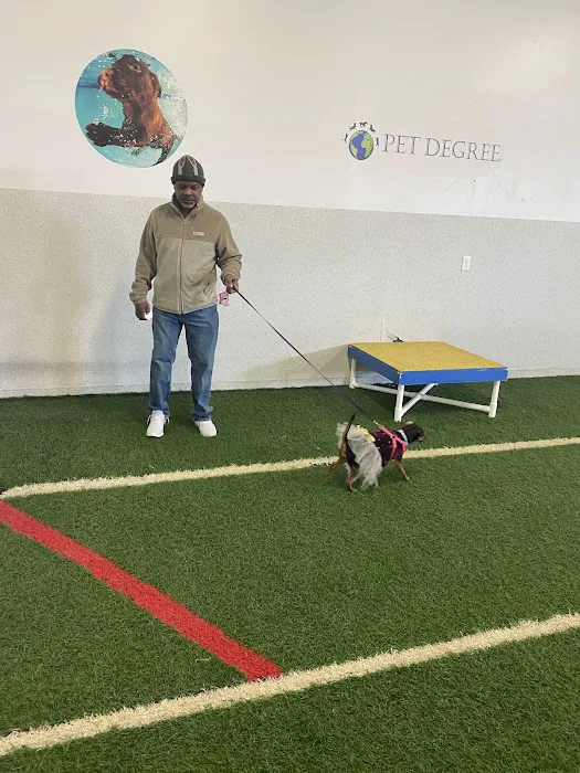 PET DEGREE Picture 4