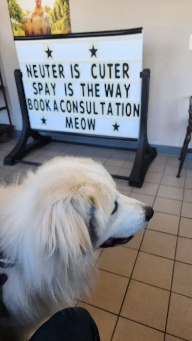 PET DEGREE Picture 3