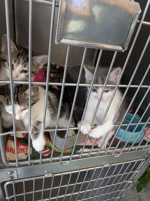 Central Park Animal Hospital Picture 6
