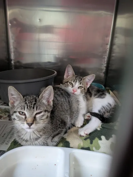 Central Park Animal Hospital Picture 5