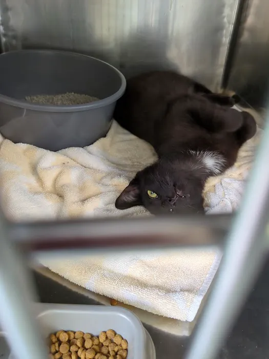 Central Park Animal Hospital Picture 10