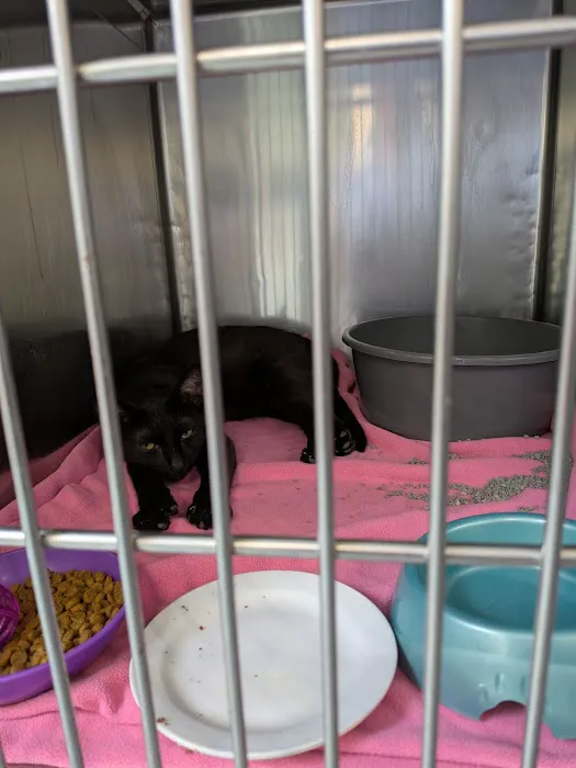 Central Park Animal Hospital Picture 9
