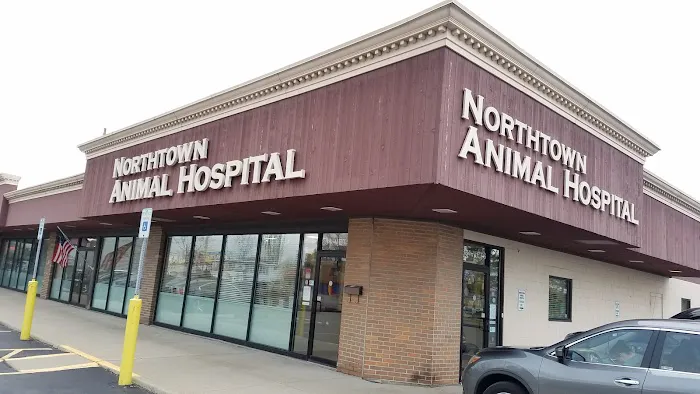 Northtown Animal Hospital Picture 5