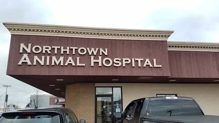 Northtown Animal Hospital Picture 7