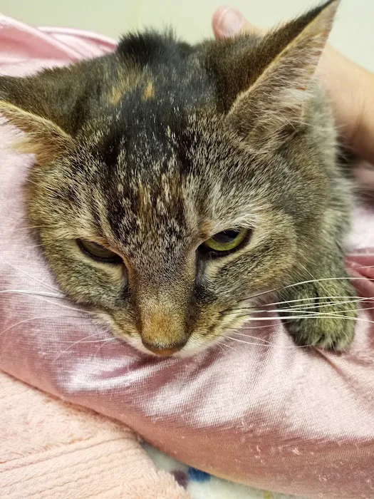 Green Acres Veterinary Center Picture 10