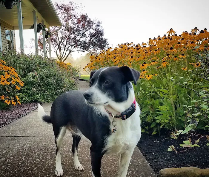 Green Acres Veterinary Center Picture 1